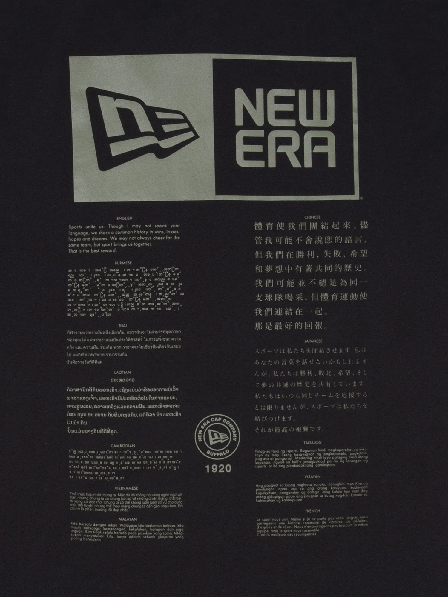 BOSTON RED SOX X ALPHA X NEW ERA T-SHIRT - Image 4